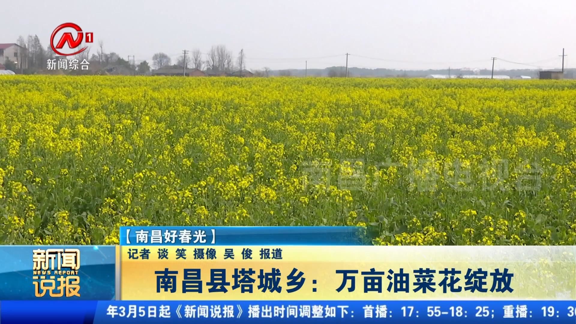 南昌县塔城乡：万亩油菜花绽放