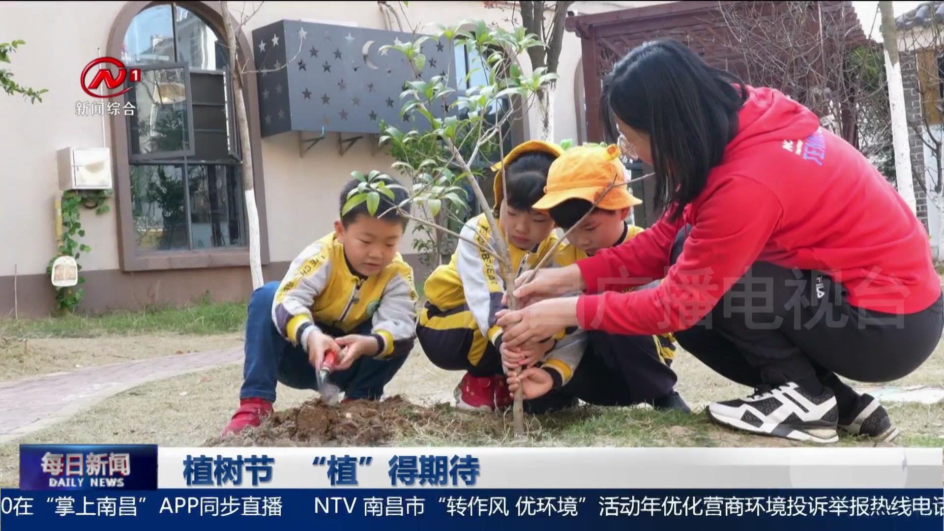 植树节 “植”得期待