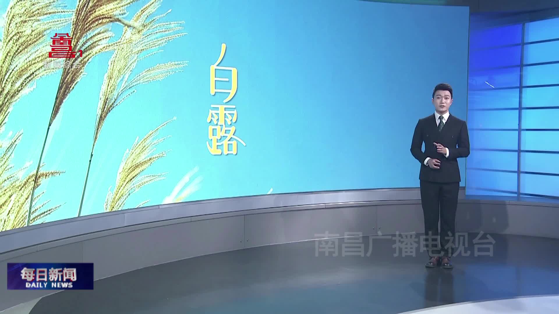 白露已至 渐感秋凉